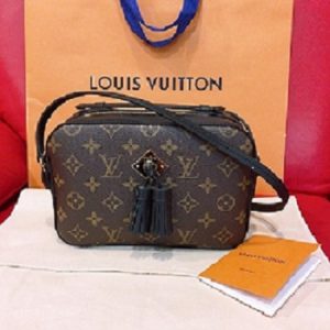 ルイヴィトン（Louis Vuitton）バッグ画像