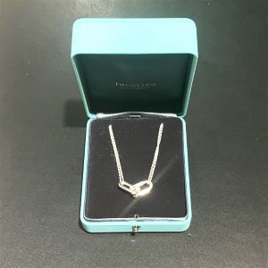 ティファニー(Tiffany＆Co)　SV925 ラージ ダブルリンク ネックレス Aランク　ティファニー買取相場