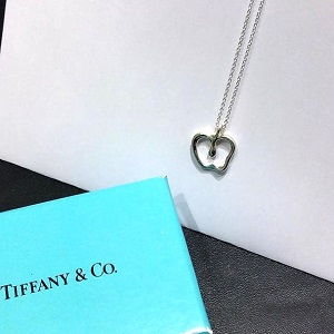 ティファニー(Tiffany&CO) リンゴモチーフ ネックレス 925 Bランク ティファニー買取相場-錦糸町マルイ店(東京都墨田区) | ブランド買取実績