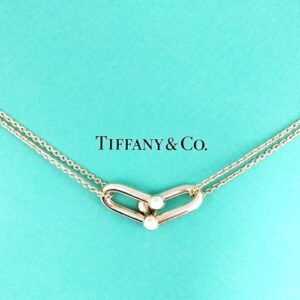 ティファニー(Tiffany＆Co) ペンダント ハードウェア ラージ ダブルリンク SV925 Aランク 買取相場